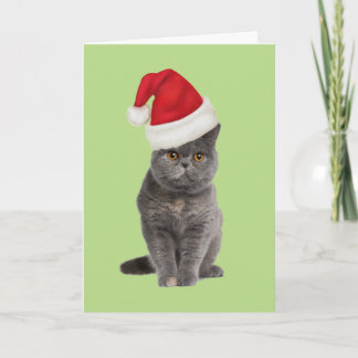 kitty xmas card