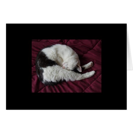 Kitty Yoga Cards (Front Horizontal)
