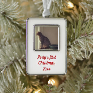 Kitty's First Christmas Ornament
