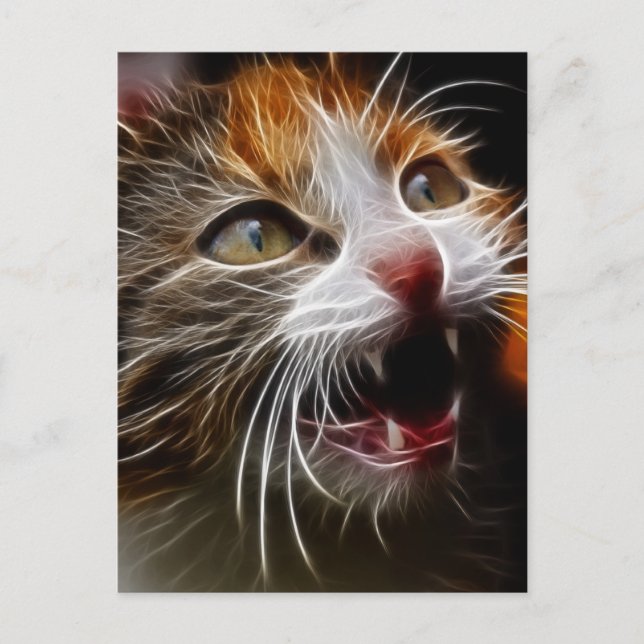 Kitty's Hungry Postcard (Front)