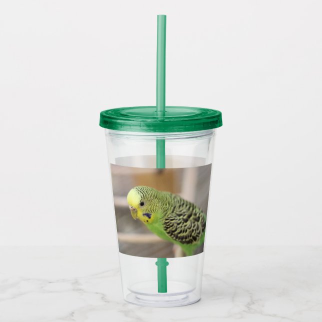 Kiwi Acrylic Tumbler (Front)