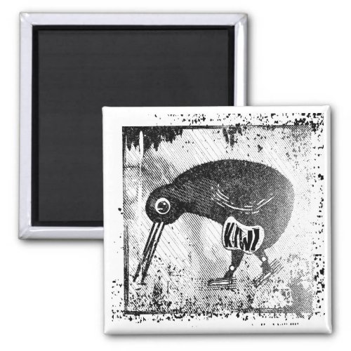 Kiwi bird black and white magnet