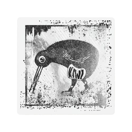 Kiwi bird black and white metal print