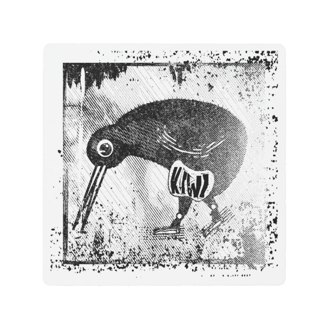 Kiwi bird black and white metal print (Front)