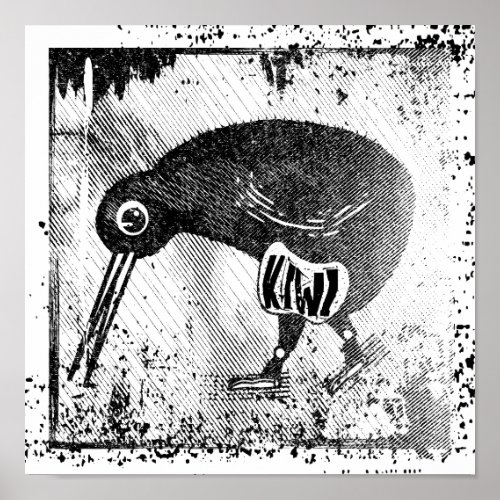 Kiwi bird black and white poster