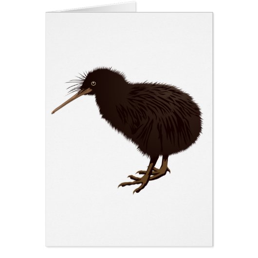 Kiwi Bird Cards (Front)