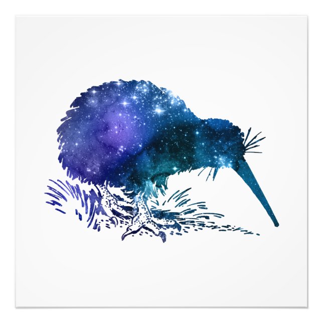Kiwi Bird Photo Print (Front)