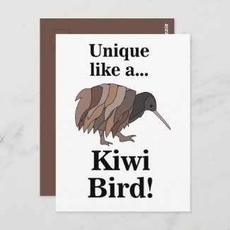 Kiwi Bird Postcard