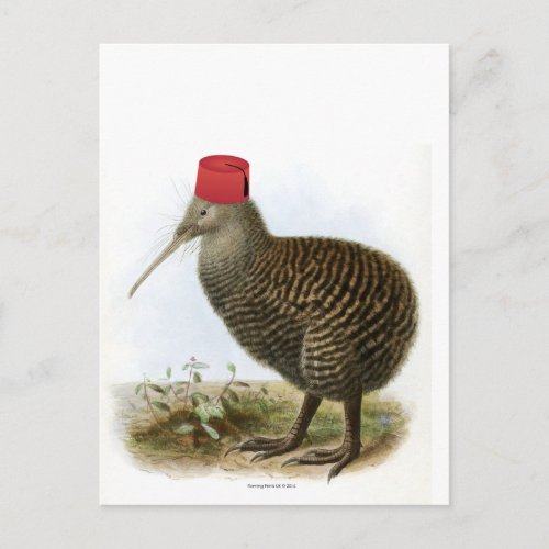 Kiwi Bird Wearing Fez Absurd Vintage Postcard