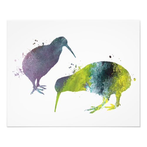 Kiwi birds photo print