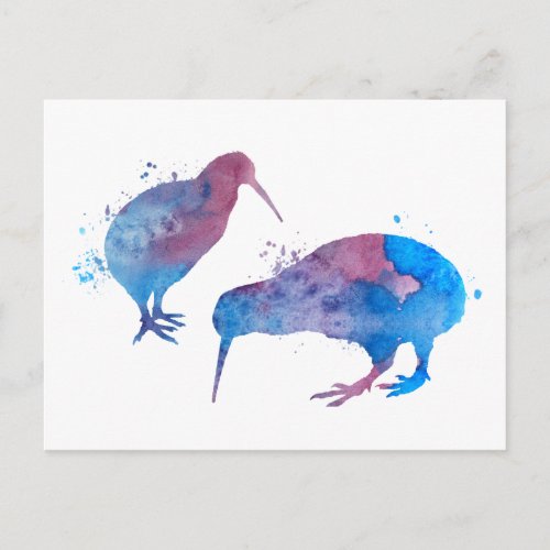 Kiwi birds postcard