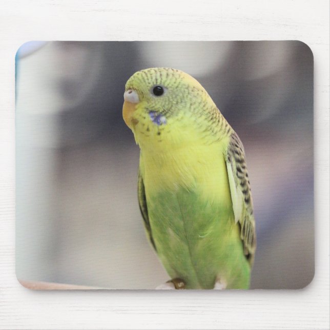 Kiwi Burbell Mouse Pad (Front)