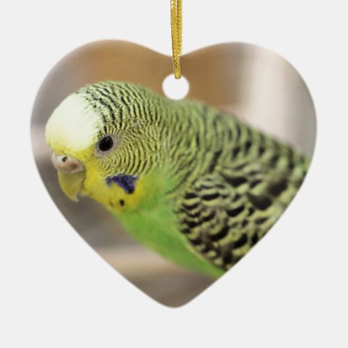 Kiwi Ceramic Ornament