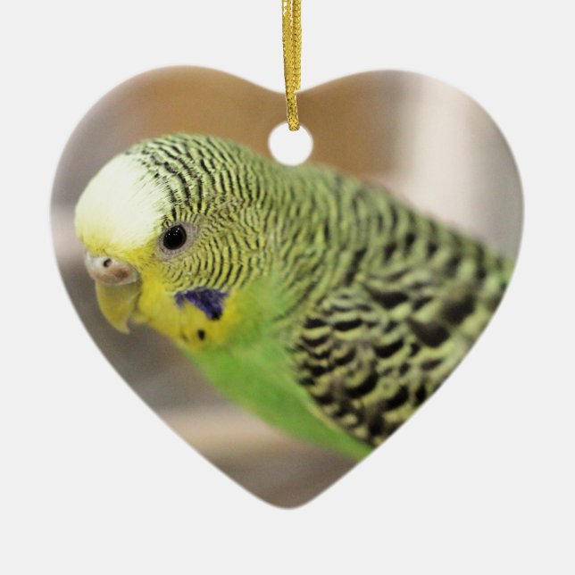 Kiwi Ceramic Ornament (Front)