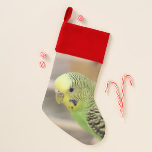 Kiwi Christmas Stocking