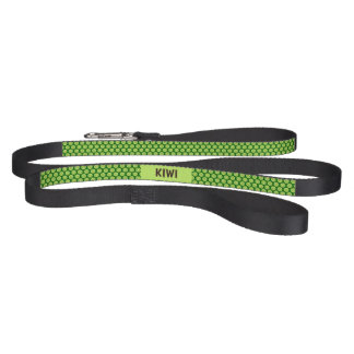 Kiwi Fruit Dog Leash