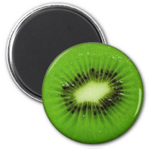 Kiwi Fruit Fresh Slice Magnet