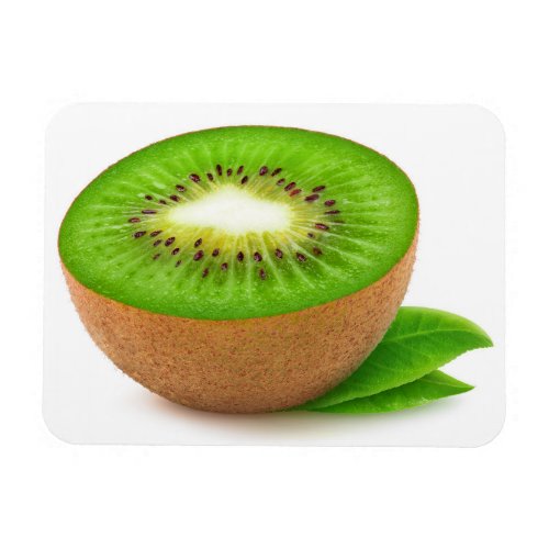 Kiwi fruit magnet