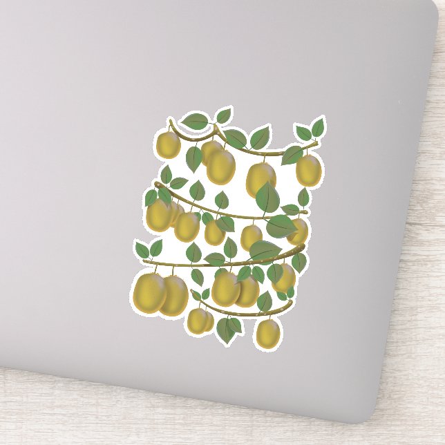 Kiwi Fruit Sticker (Detail)