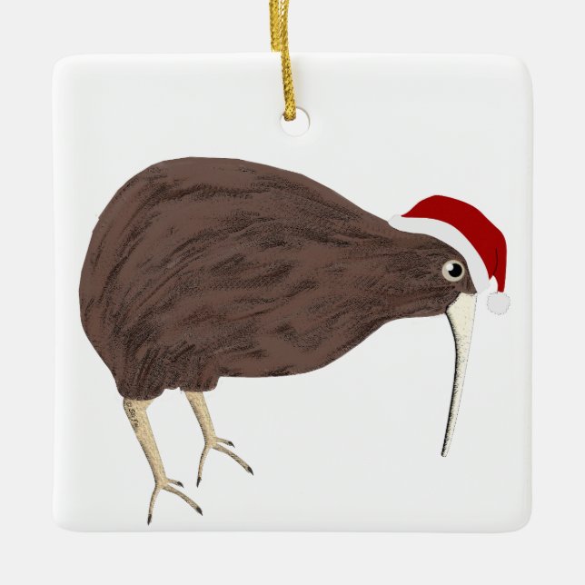 Kiwi Holiday Ornament (Front)