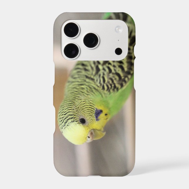 Kiwi Iphone Case (Back)