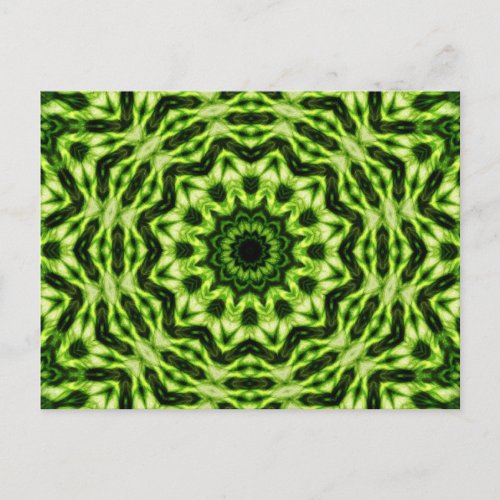 Kiwi Kaleidoscope Postcard