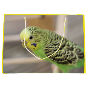 Kiwi Large Gift Bag