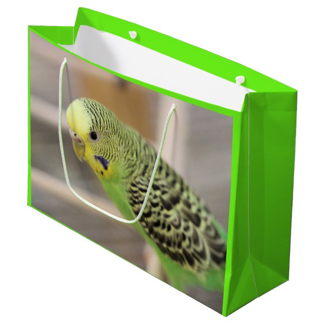 Kiwi Large Gift Bag (Front Angled)