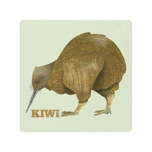 Kiwi NZ Bird Metal Print