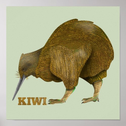 Kiwi NZ Bird Poster