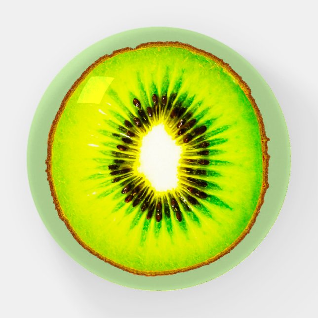 Kiwi Paperweight (Front)