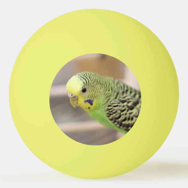 Kiwi Ping Pong Ball (Front)