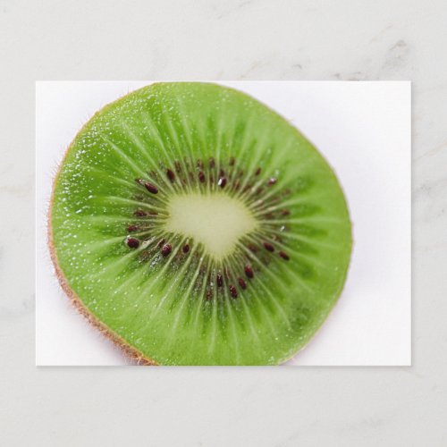 Kiwi Postcard