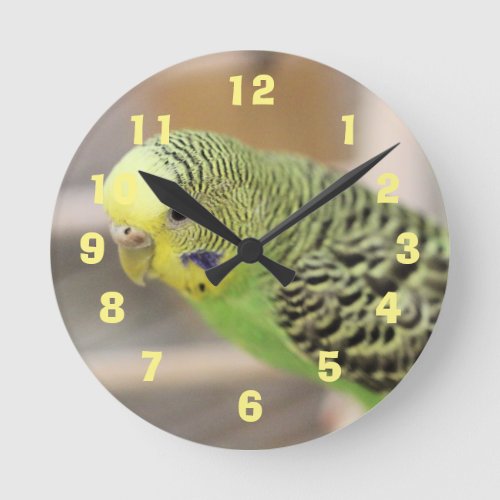 Kiwi Round Clock