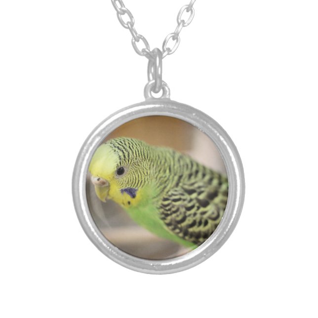 Kiwi Silver Plated Necklace (Front)