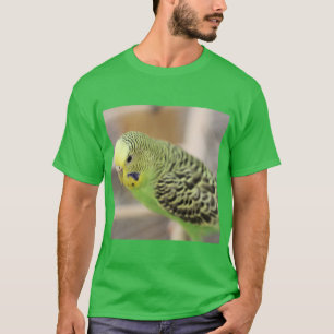 Kiwi  T-Shirt