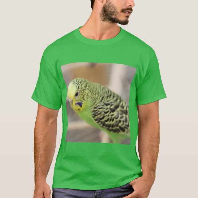 Kiwi  T-Shirt (Front)