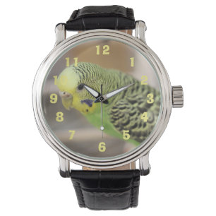 Kiwi Watch