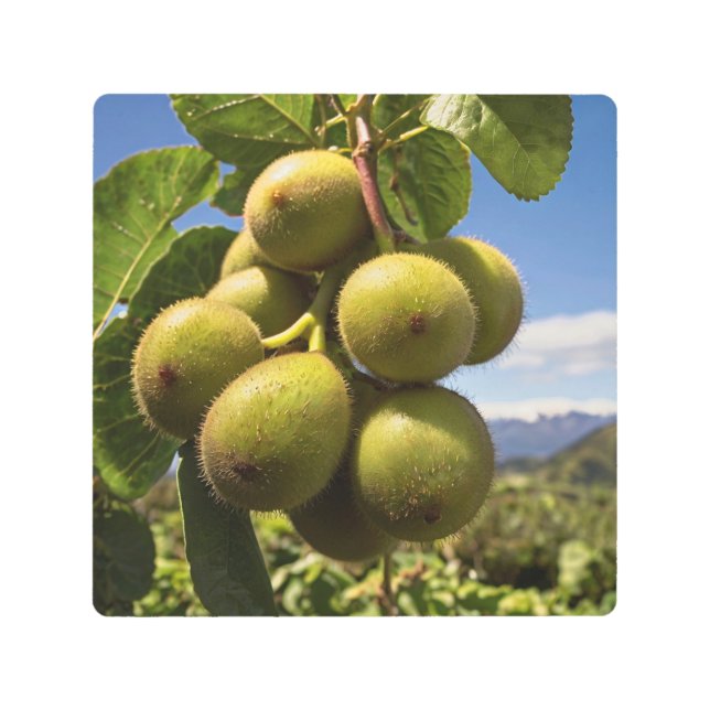 Kiwis on a Tree Metal Print (Front)