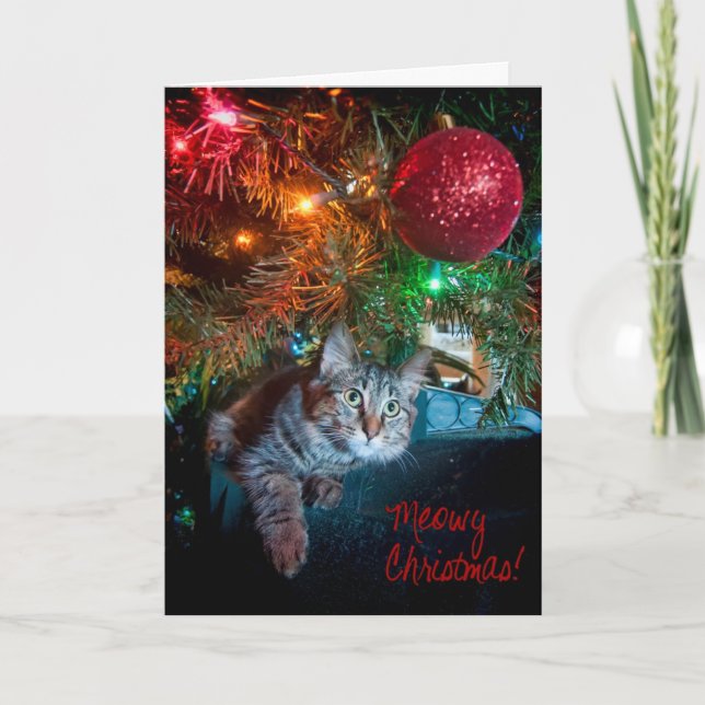Kizmet the Kitten Holiday Greeting Card (Front)