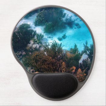 Klein Bonaire Reef Gel Mouse Pad by h2oWater at Zazzle