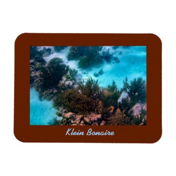 Klein Bonaire Reef Magnet by h2oWater at Zazzle