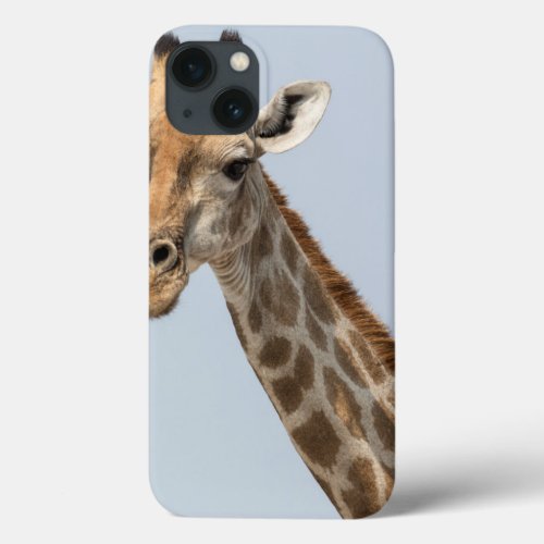 Klein Namutoni Waterhole iPhone 13 Case