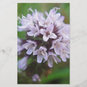 Kleine lila Blüten (Front)