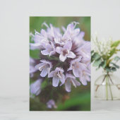 Kleine lila Blüten (Standing Front)