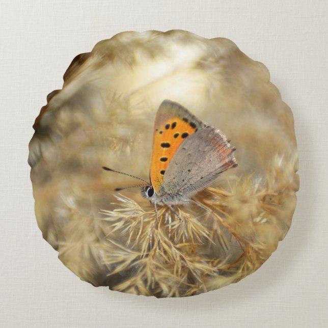 Kleiner Feuerfalter Round Pillow (Front)