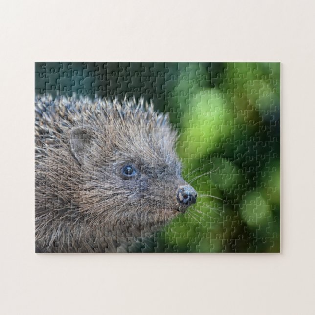 Kleiner Igel Jigsaw Puzzle (Horizontal)