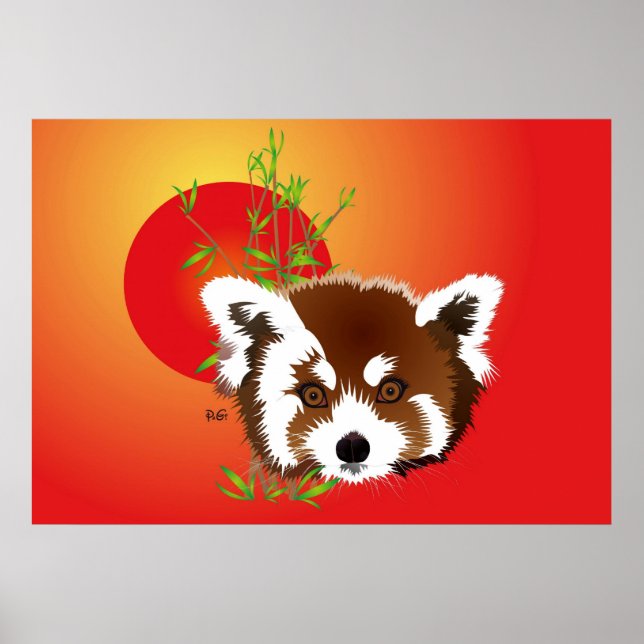 Kleiner Panda (Ailurus fulgens) Poster (Front)