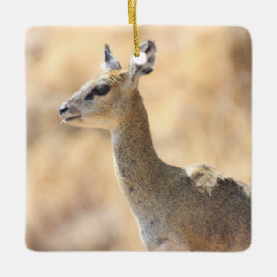 Klipspringer antelope ceramic ornament