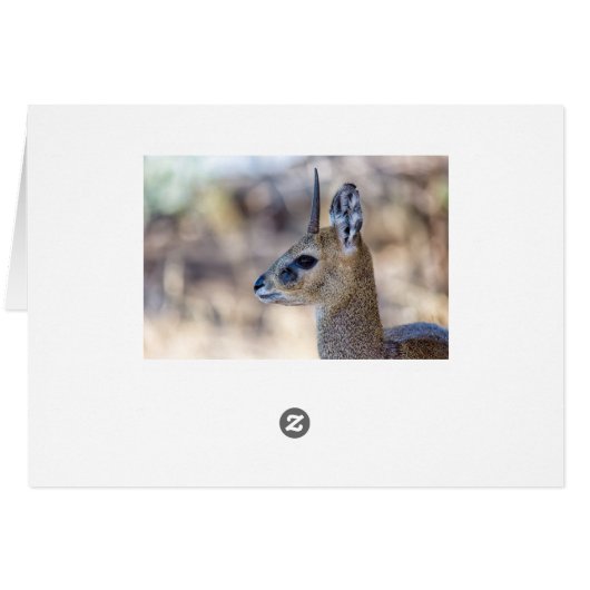 Klipspringer Portrait (Back Horizontal)